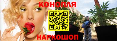 крисы Лесосибирск