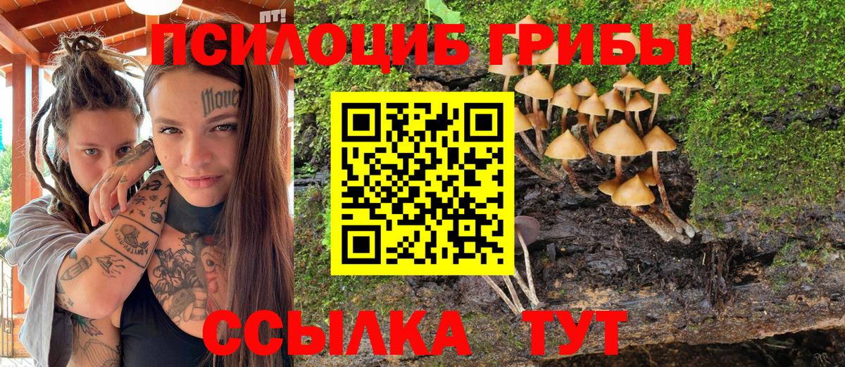 Галлюциногенные грибы ЛСД  Вход с VPN  Галлюциногенные грибы GOLDEN TEACHER  Ессентуки 