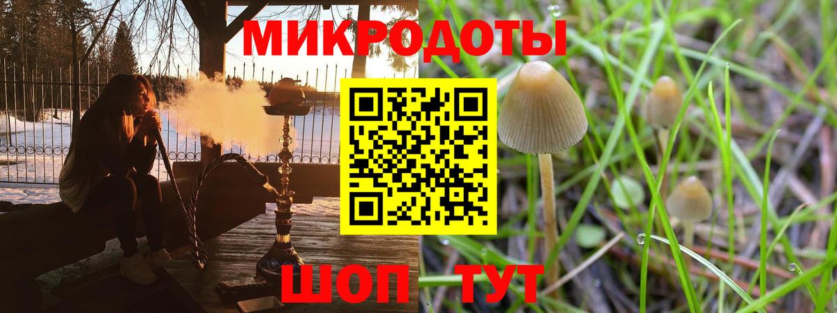 Галлюциногенные грибы мицелий Ессентуки